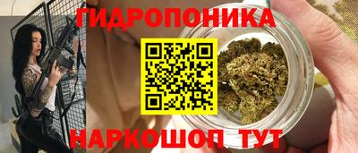 шишки Краснокаменск