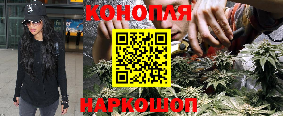 Бошки марихуана OG Kush Фурманов